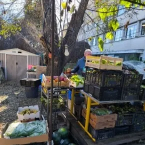 La sensibilisation à l’environnement